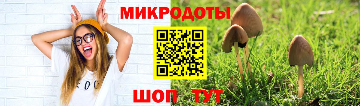 Галлюциногенные грибы прущие грибы  Вход с VPN  Шарыпово 